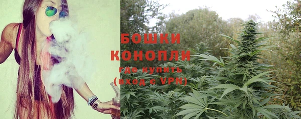 шишки Балабаново