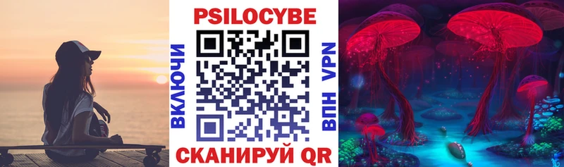 Псилоцибиновые грибы мицелий  omg tor  Кяхта 